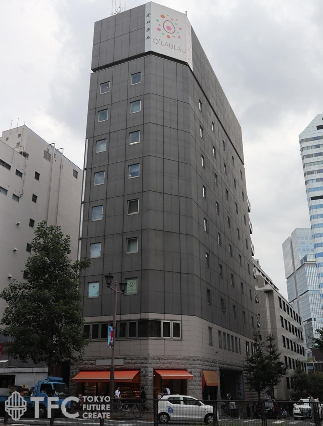 ハヤカワ麹町ビル（旧：麹町志村ビル）